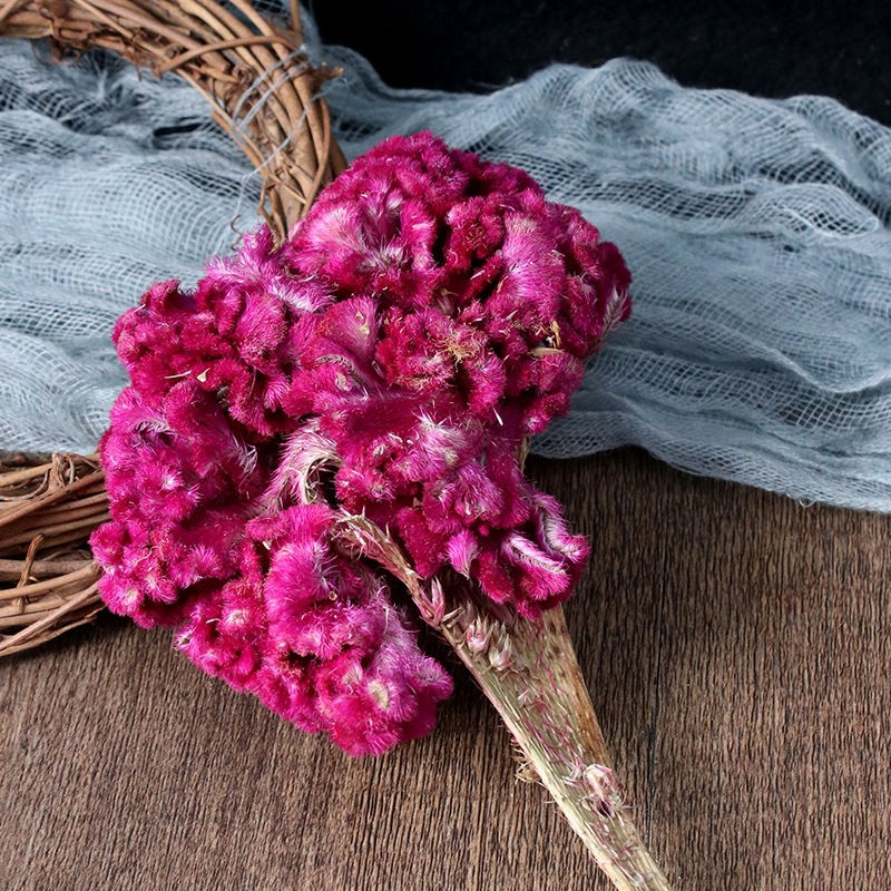 Miniaturbild: Cockscomb Flower (Flos Celosiae Cristatae) ,Chinese Herbal Tea Who