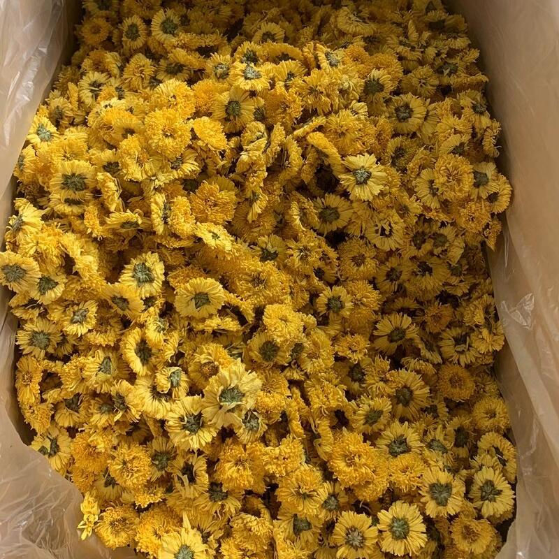 Миниатюра: Huizhou Huangju/Chrysanthemum tea，Chinese Herbal Tea Wholesale