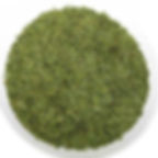 Thumbnail: Jiangshan Green Peony Tea, Zhejiang Green Tea
