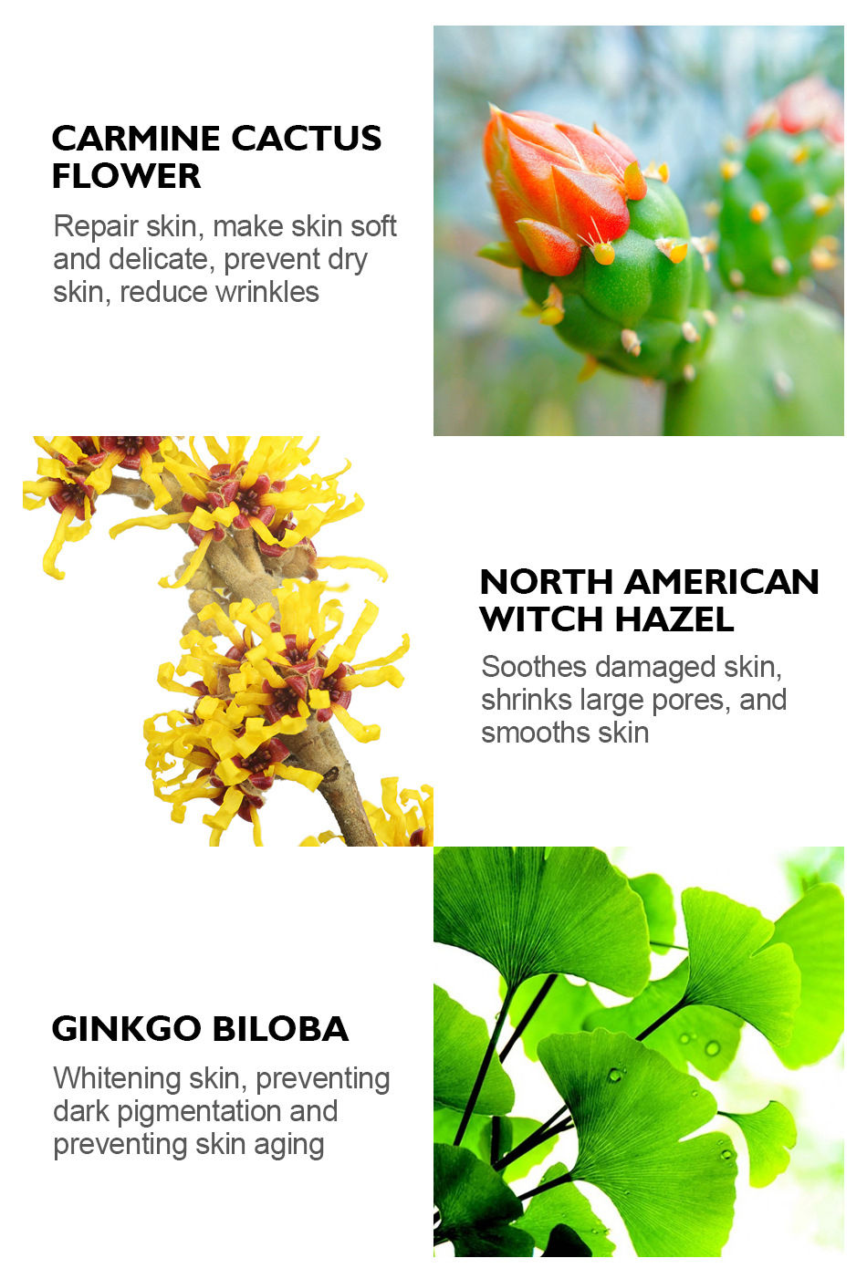 Thumbnail: Charcoal Peel Off Mask (3 Pc)