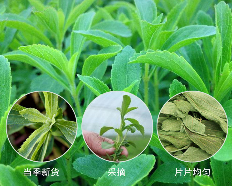 Miniaturbild: Stevia Leaf,Chinese Herbal Tea Wholesale