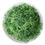 Thumbnail: Jiaogulan Tea, Chinese Traditional Medicine Herbal Tea
