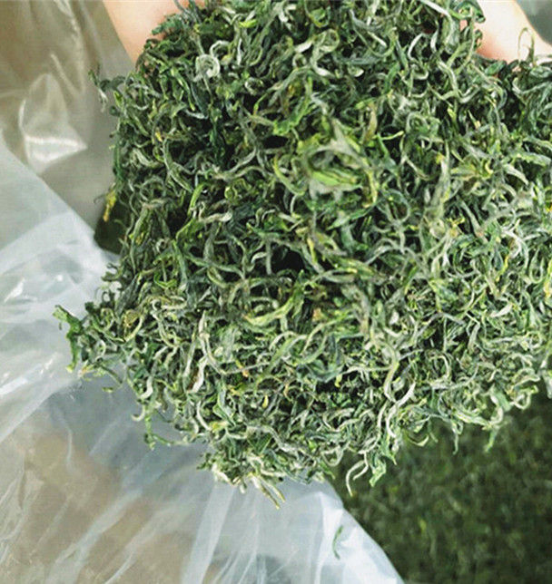 Миниатюра: Jing Shan Tea/Jingshan Buddha Tea, Zhejiang Green Tea