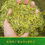 Miniaturbild: Osthmanthus Scented  Long Jing Tea, Tea Farm Wholesale