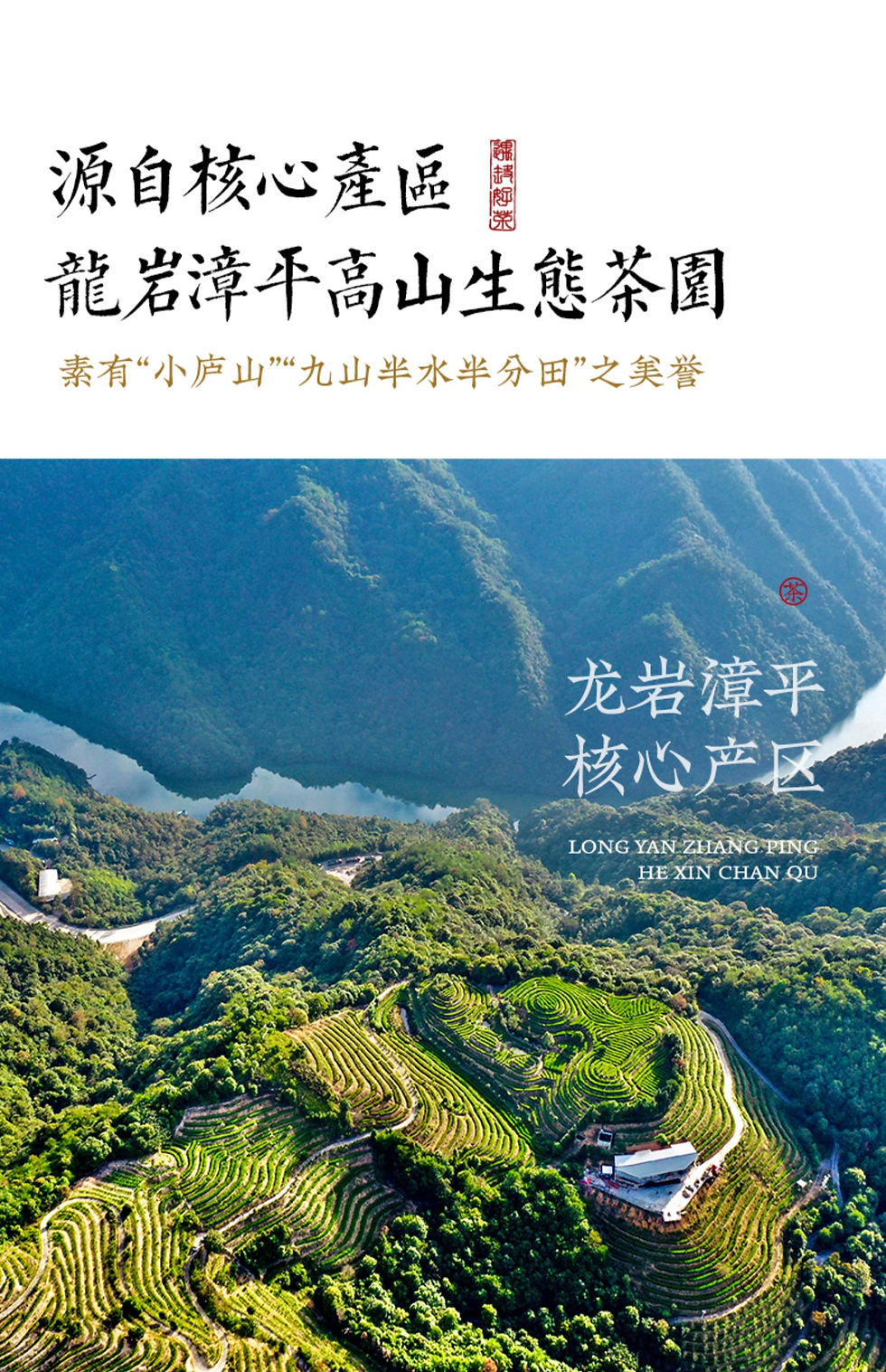 Миниатюра: Zhang Ping Shui Xian Oolong Tea Wholesale