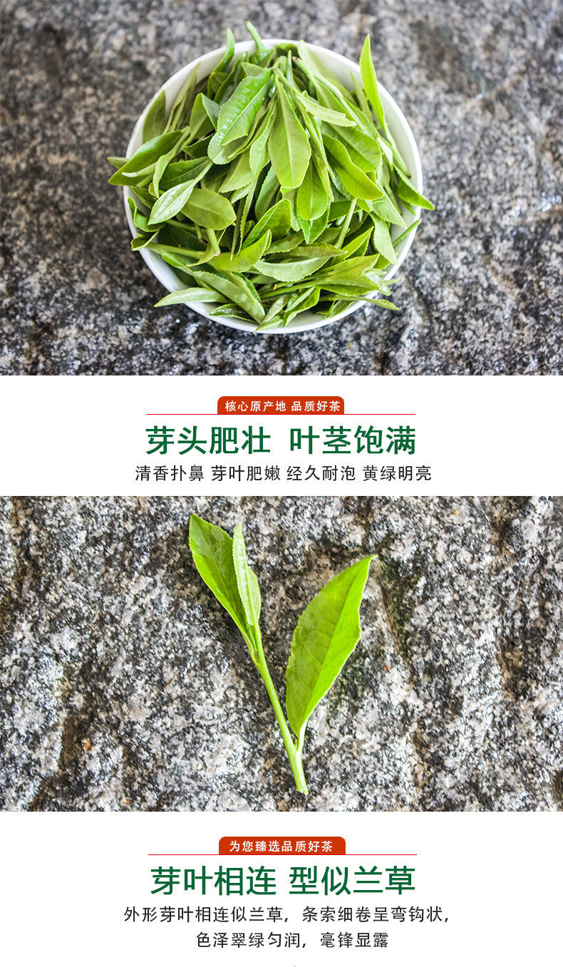 Миниатюра: Shucheng Small Orchid Tea/Shucheng Xiao Lan Hua Tea，Tea Farm Wholesale