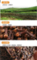 Thumbnail: Ding Xiang (Flos Caryophylli),Chinese Herb  Wholesale