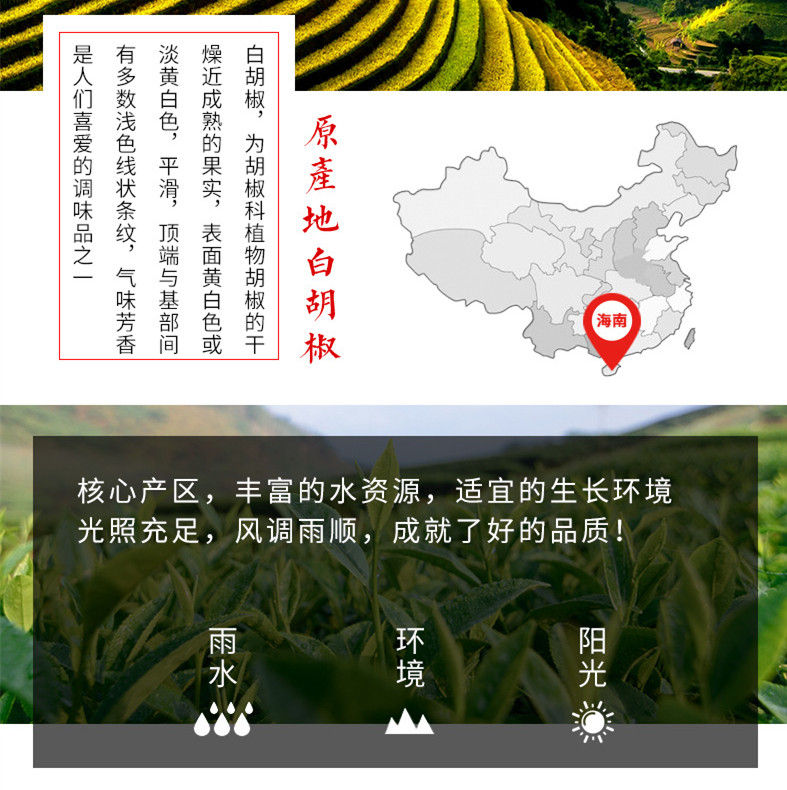 Thumbnail: Bai Hu Jiao (Fructus Piperis-White),Chinese Herb  Wholesale
