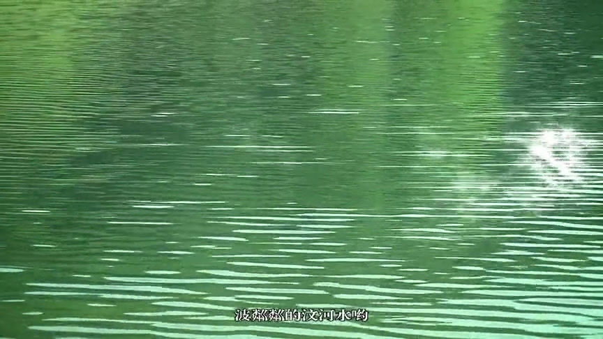 Miniatura: QiLu Dry Baked Tea/Huang Da Cha, Chinese Yellow Tea Wholesale