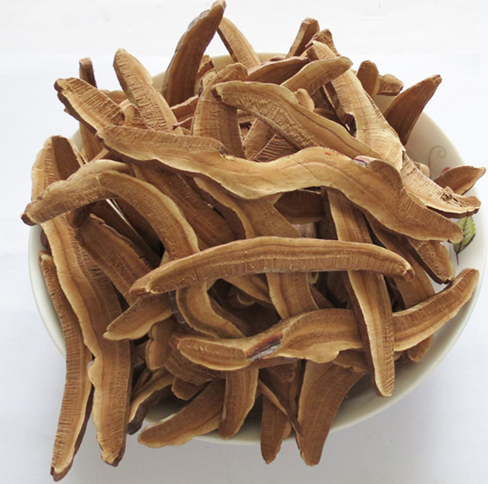 Miniature : Ganoderma/Ling Zhi/Reishi，Chinese Herbal Tea Wholesale