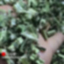 Thumbnail: Motherwort Herb, Chinese Herbal Tea Wholesale