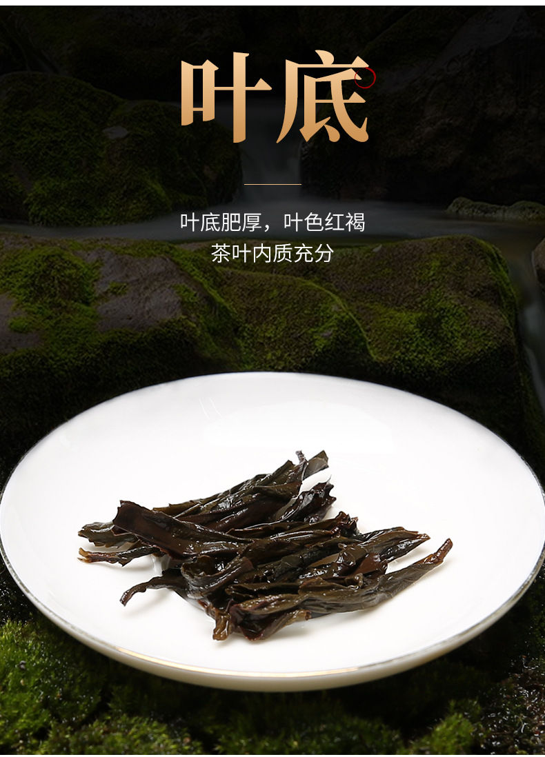 Thumbnail: Da Hong  Pao Oolong Tea/The Story of a Leaf