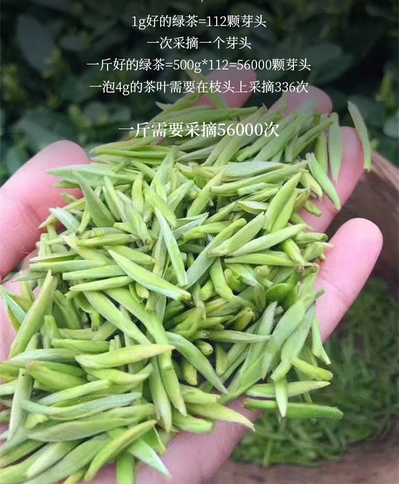 Thumbnail: Mengding Ganlu Green Tea