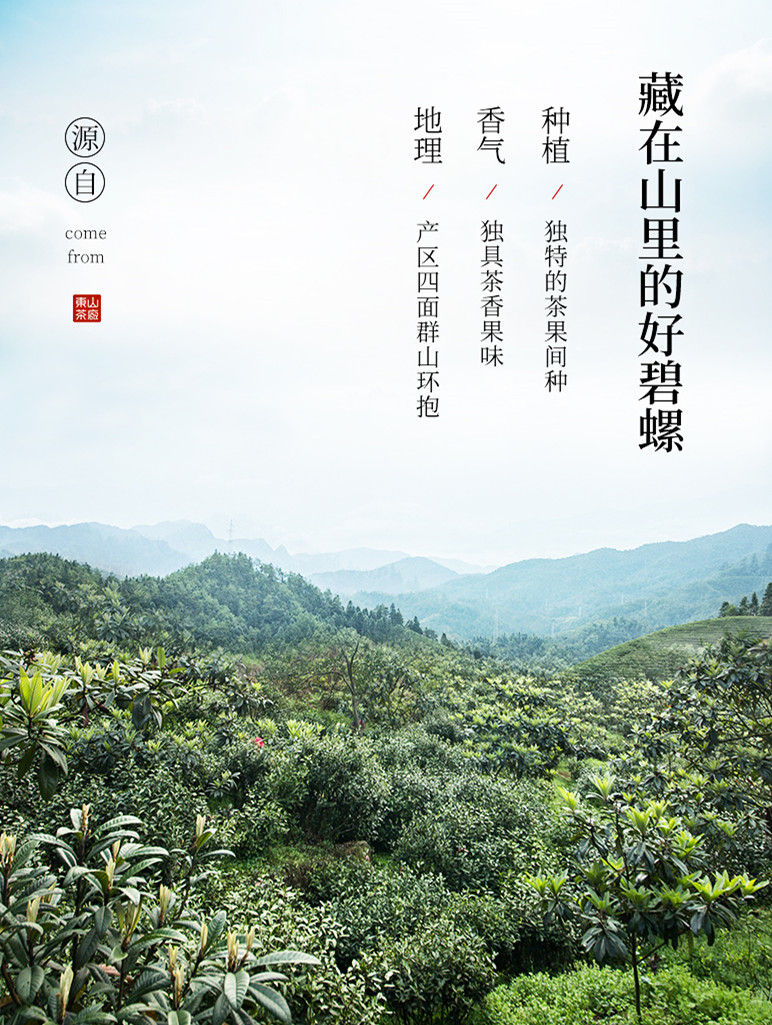 Miniature : BiLuoChun Green Tea, Jiangsu Green Tea