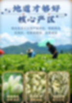 Thumbnail: Jasmine Scented Green Tea (Common Tea) / Sichuan Jasmine Scented Tea Wholesale