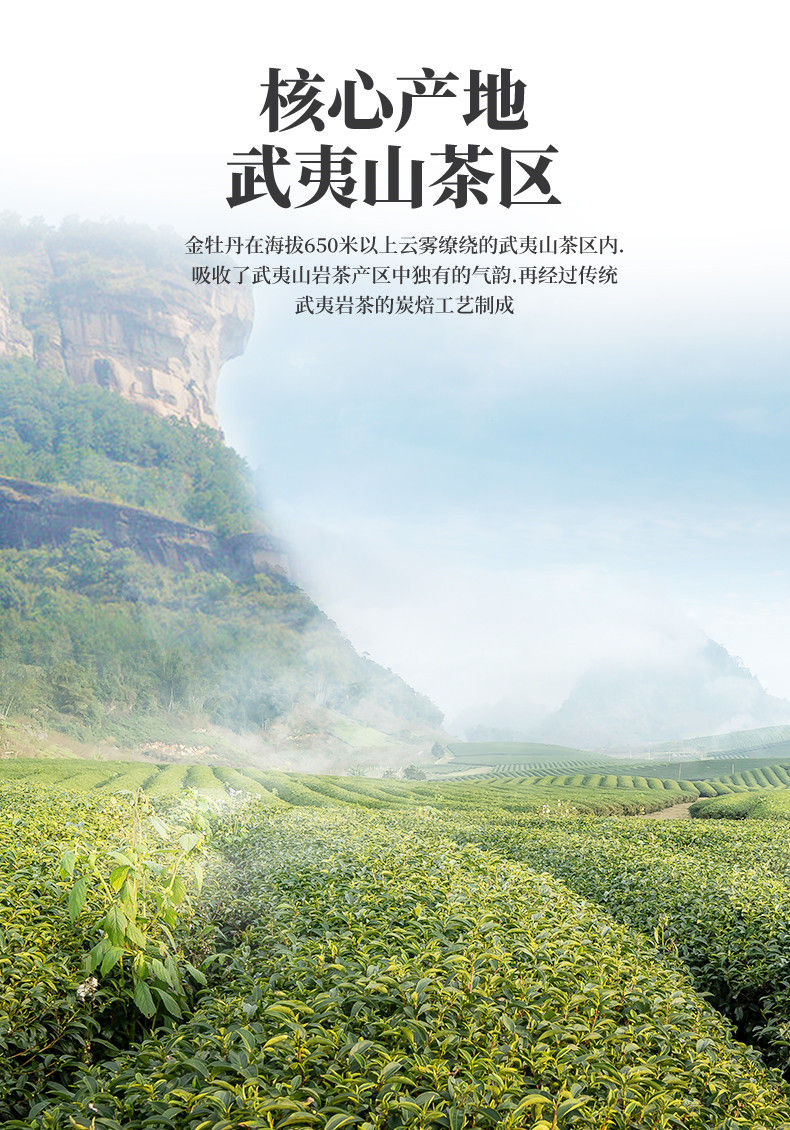 Миниатюра: Jin Mu Dan Souchong Black Tea/Wuyi Black Tea Wholesale