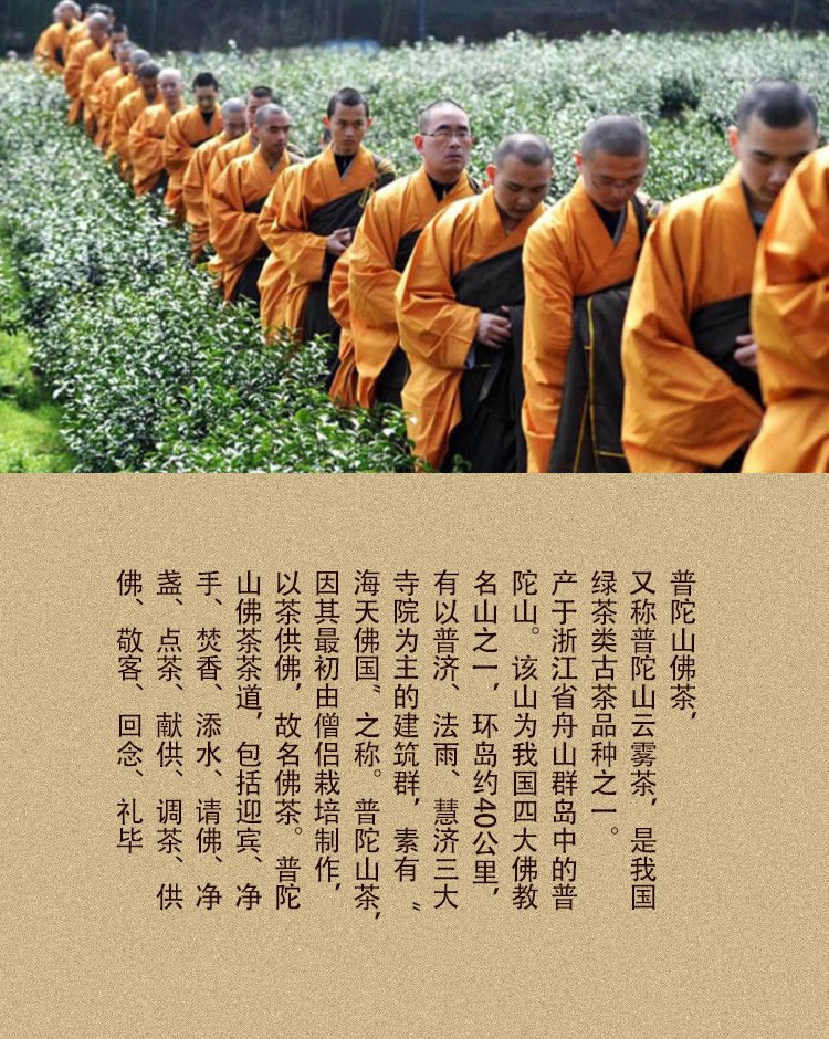 Miniatura: Putuo Buddha Tea/Putuo Fo Cha, Zhejiang Green Tea