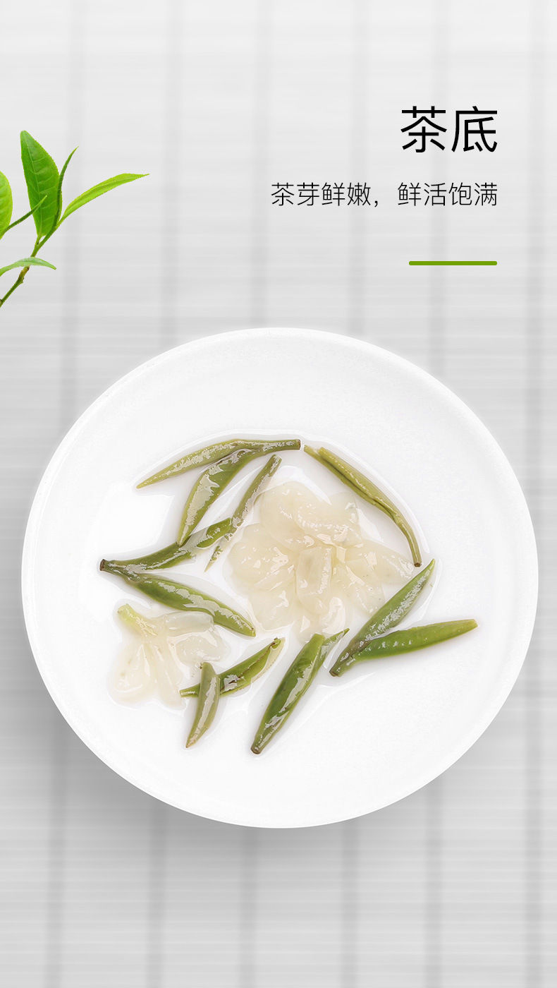 Miniaturbild: Xue Zhu Piao Xue Tea/Jin Zhen Piao Xue Tea,Sichuan Jasmine Scented Tea Wholesale