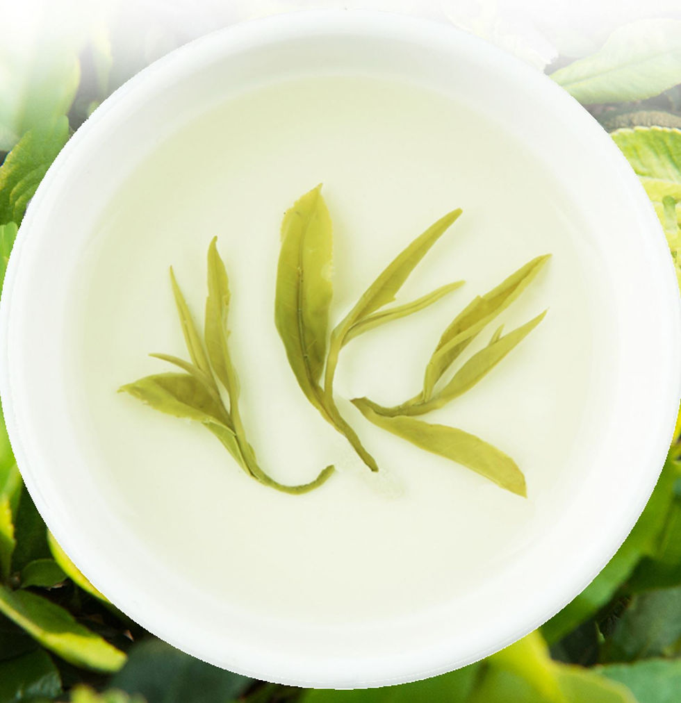 Miniature : Xiu Ning Song Luo Tea / Anhui Green Tea