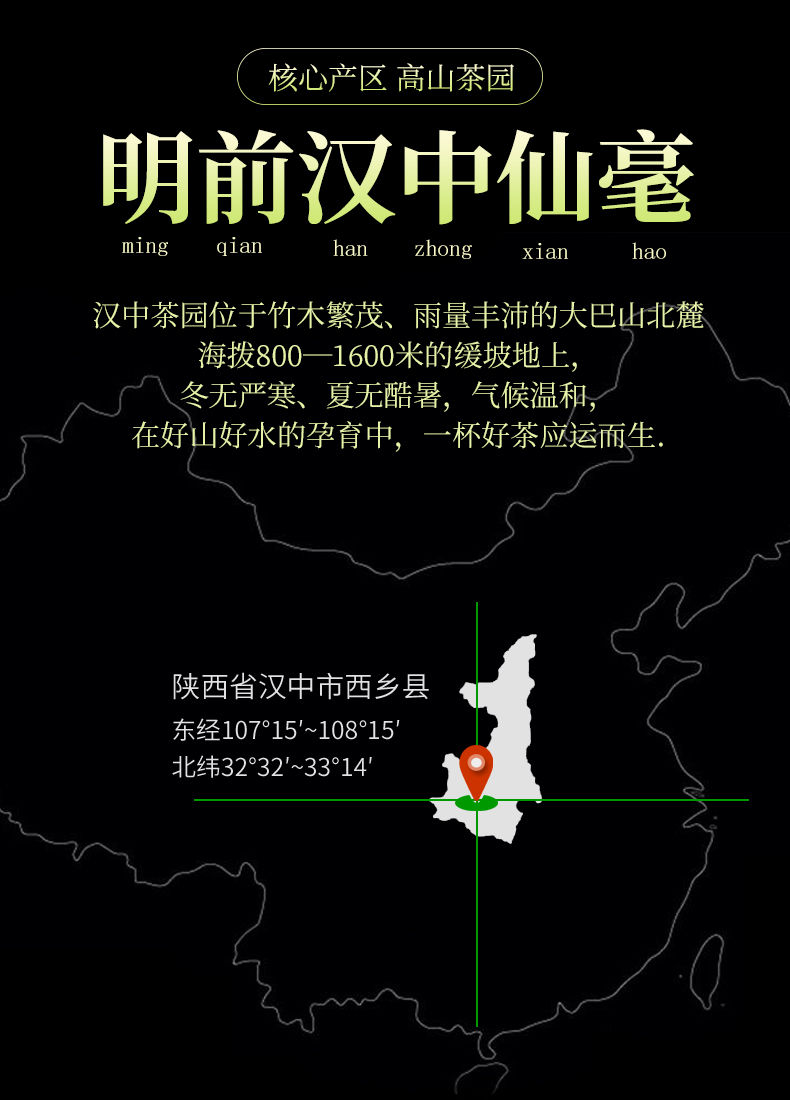 Miniatura: Wu Zi Xian Hao Tea / Han Zhong Xian Hao Tea, Shanxi Green Tea