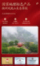 Thumbnail: QiLanXiang Dancong, Phoenix Dancong Oolong Tea Wholesale