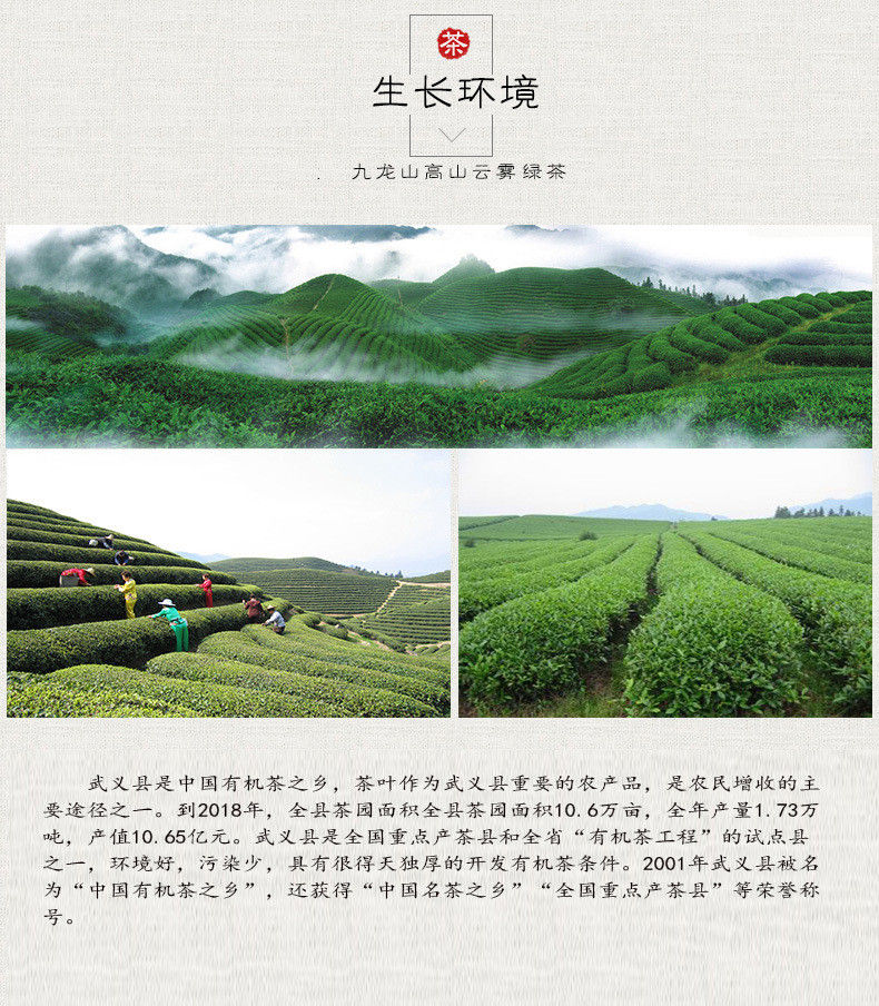 Thumbnail: Wu Yang Chun Yu Organic Green Tea, Zhejiang Green Tea