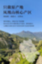 Thumbnail: FanShuXiang Dancong, Phoenix Dancong Oolong Tea Wholesale