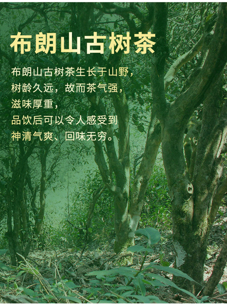 Миниатюра: Pu-erh Tea Cake/Pu-erh Qi-Zi Bing Wholesale