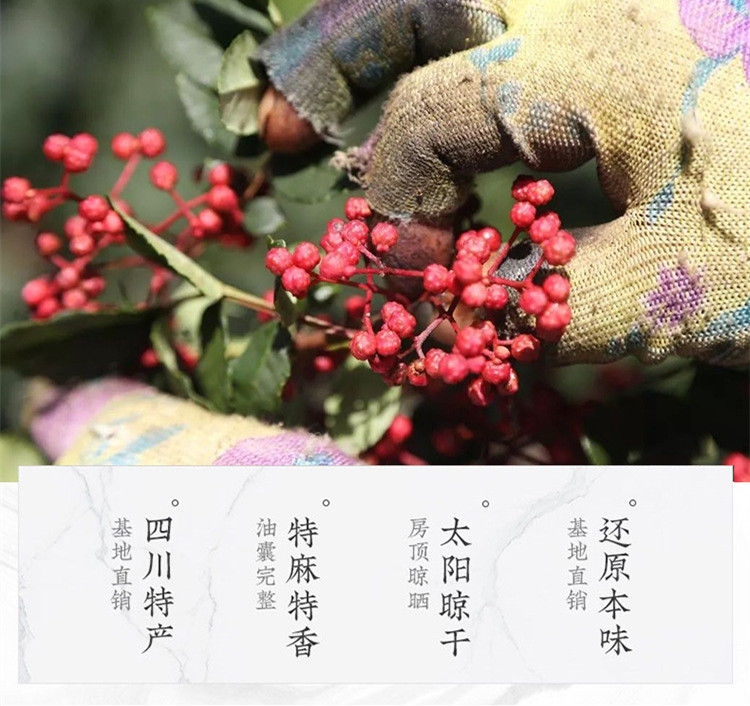 Miniaturbild: Hua Jiao (Pericarpium Zanthoxyli),Chinese Herb  Wholesale
