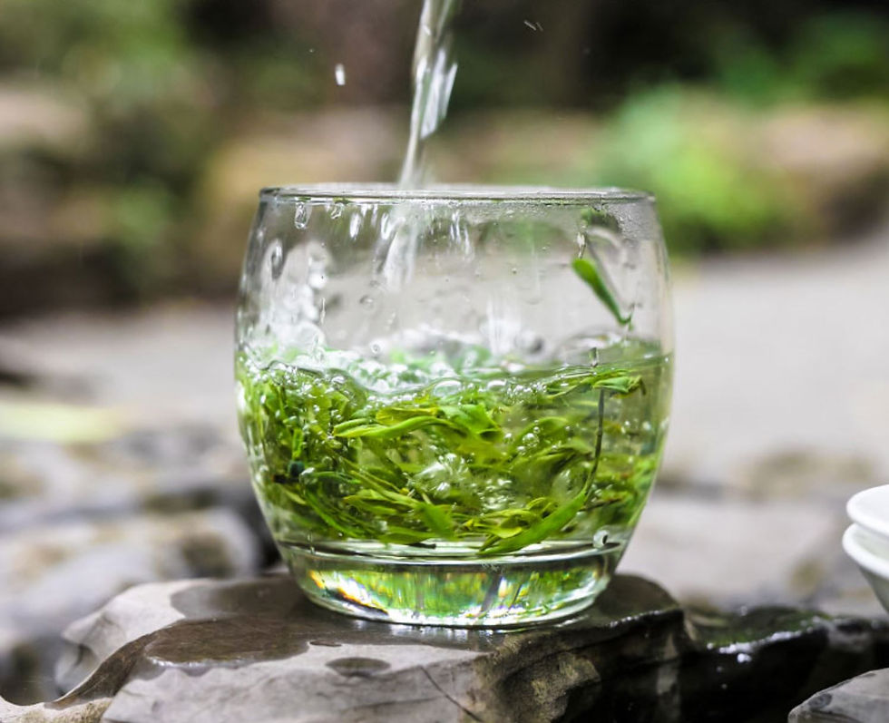 Miniatura: Mao Shan Qing Feng Green Tea/Jin Tan Cui Bo Green Tea