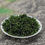 Thumbnail: Small Leaf Kuding Tea, Chinese Traditional Medicine Herbal Tea