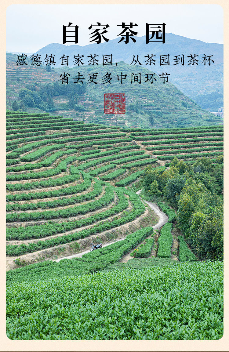 Миниатюра: Tie Guan Yin Oolong Tea---Original Taste