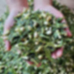 Thumbnail: Jasmine Scented  Long Jing Tea, Tea Farm Wholesale