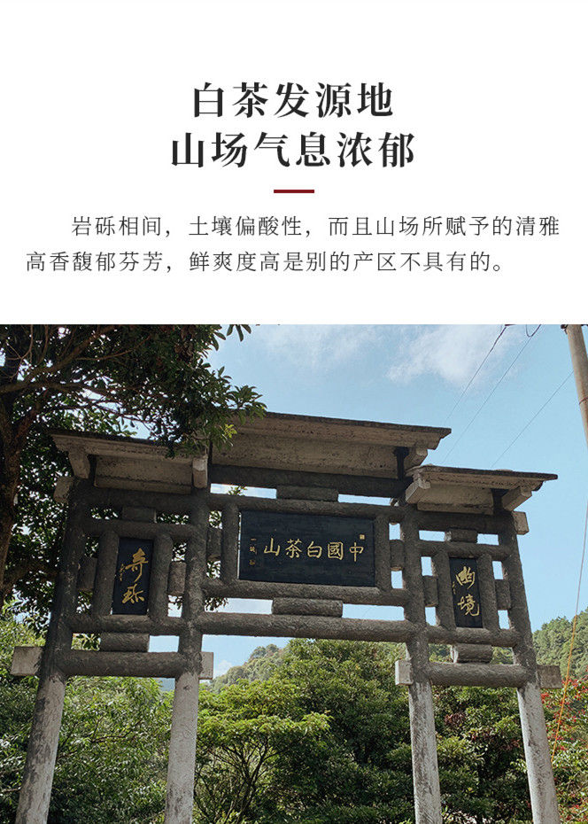 Thumbnail: Tai Mu Mountain Bai Mu Dan Tea/White Peony Tea