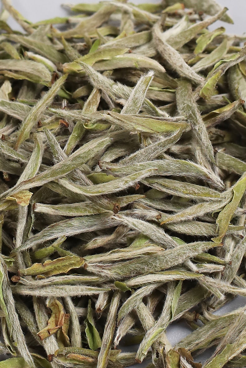 Thumbnail: Bai Hao Yin Zhen White Tea/The Story of a Leaf