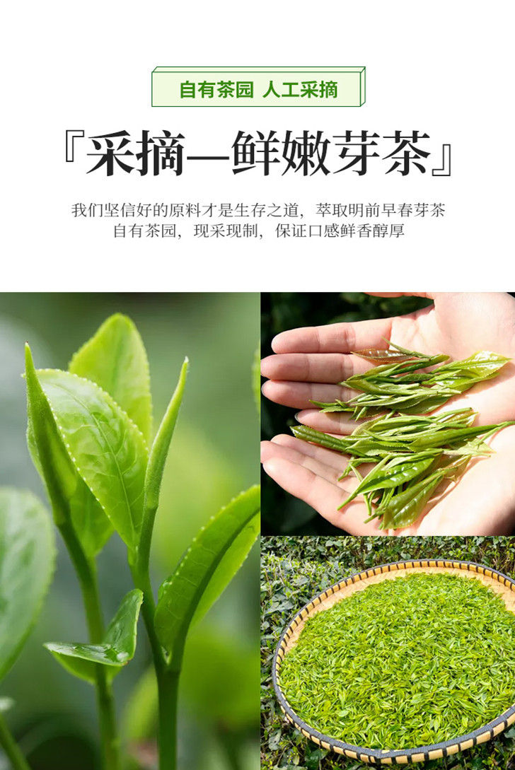 Miniaturbild: Gui Ding Yun Wu Tribute Tea/Bird King Tribute Tea