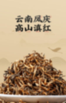 Yunnan Black Tea(General Tea) Wholesale