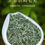 Thumbnail: Xin Yang Mao Jian Green Tea, Tea Farm Wholesale