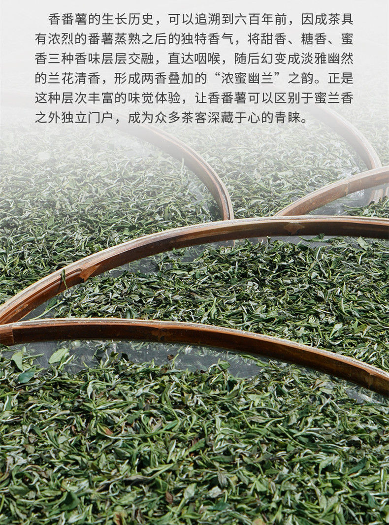 Miniatura: FanShuXiang Dancong, Phoenix Dancong Oolong Tea Wholesale