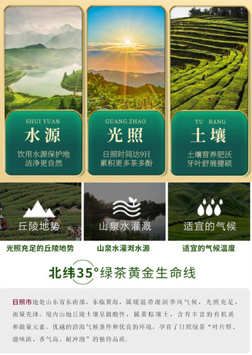Chinese Shandong Rizhao Green Tea – High Mountain Fresh Loose Leaf – Ri Zhao Lv Cha 250g