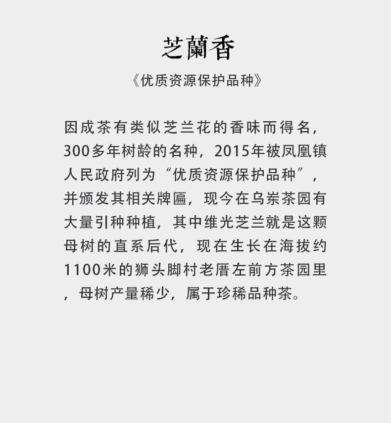 Miniatura: ZhiLanXiang Dancong, Phoenix Dancong Oolong Tea Wholesale