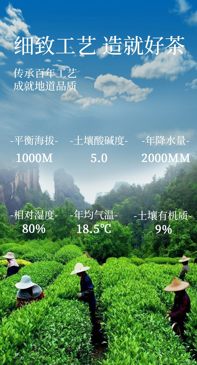 Miniatura: Meet China Famous Tea: 10 varieties of Wuyi Black Tea (Sampler)