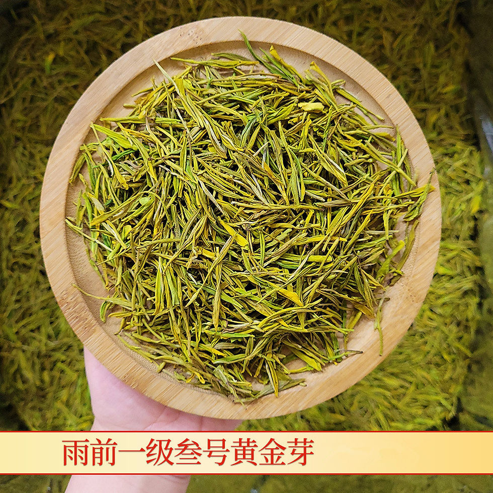 Miniatura: Huang Jin Ya Tea(Golden Sprouts) ”Panda in Teas", Zhejiang Green Tea Wholesale