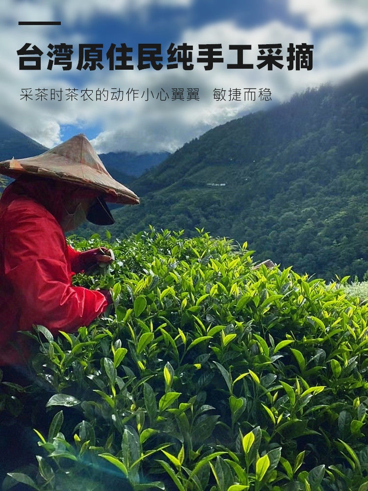 Миниатюра: Red Water Oolong Tea / Hong Shui Oolong Tea Wholesale