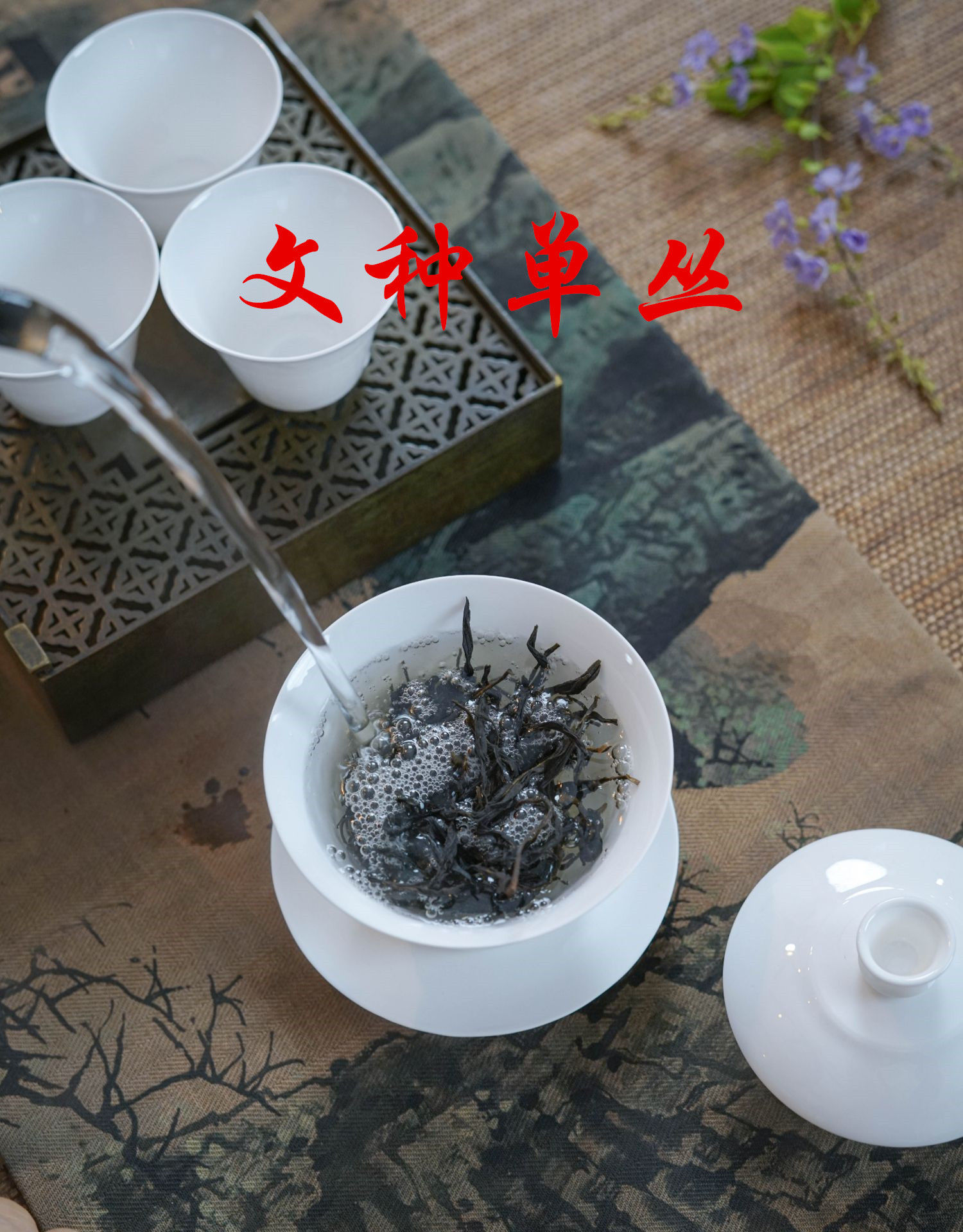 WenZhong Dancong(Rare Tea), Feng Huang Dan Cong Oolong Tea Wholesale