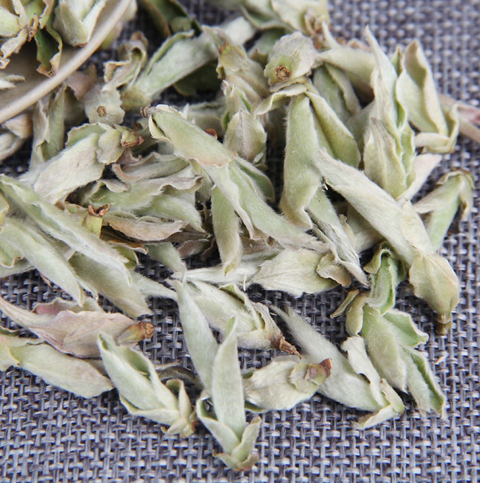 Miniatura: Pu-erh Ancient Tree Bud Tea Collection /Special Pu-erh Tea