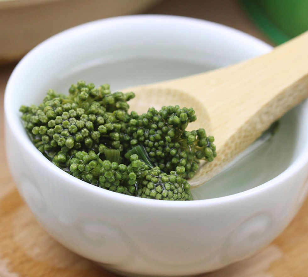 Миниатюра: San Qi flower,Chinese Herbal Tea Wholesale