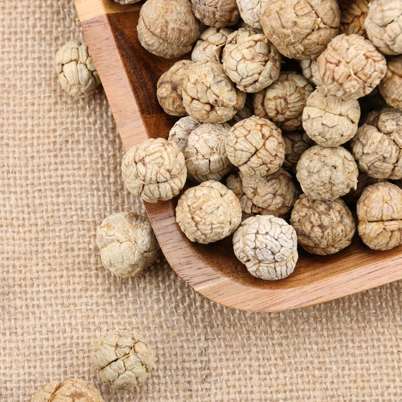 Miniaturbild: Cao Dou Kou (Semen Alpiniae Katsumadai),Chinese Herb  Wholesale