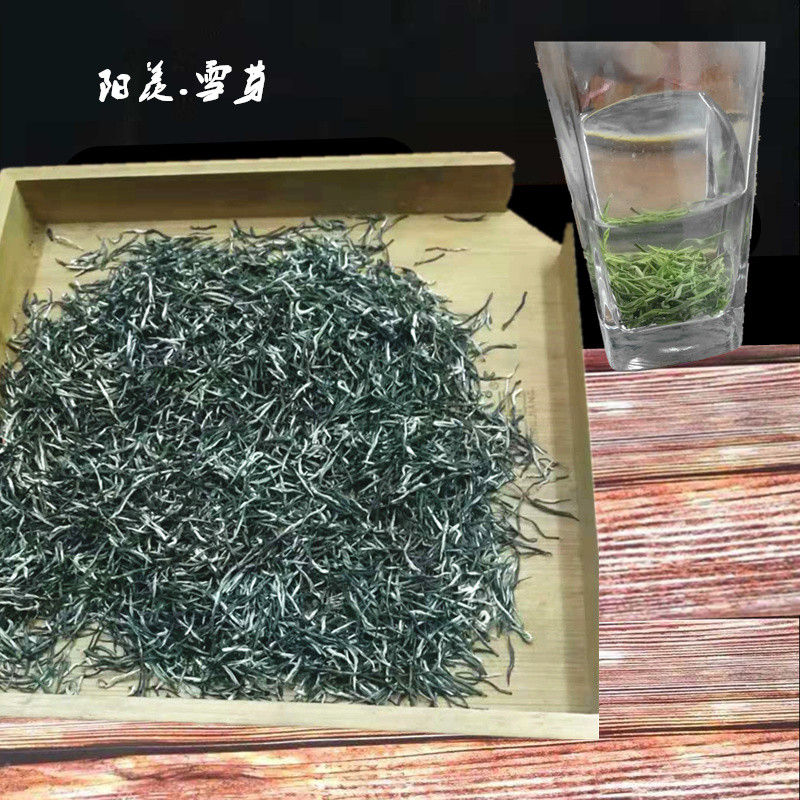 Miniaturbild: Yang Xian Xue Ya Tea/Yang Xian Snow Bud Tea, Jiangsu Green Tea