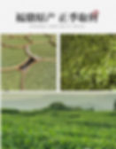 Thumbnail: White Silver Needle Tea/Bai Hao Yin Zhen Tea, Fu Ding White Tea Wholesa